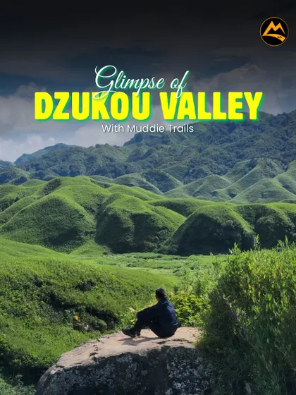 A moment of peace in Nagaland's Dzukou Valley. My trips are not just about adventure; they are also about finding quiet moments like this to connect with nature and yourself.