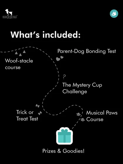 A map of the challenges included in our Doggie Olympics, from a 'Woof-stacle' course to a 'Musical Paws' game. It's all about fun and friendly competition.