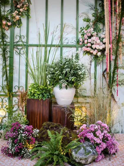 A lush green corner at the pastel reception, with ferns, moss, and white pottery creating a fresh, botanical feel.
