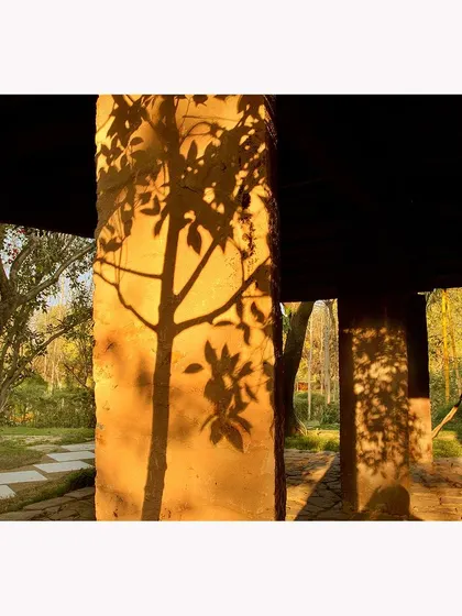 A simple play of light and shadow, where the silhouette of a tree is cast onto a stone pillar by the evening sun. This photograph is about finding beauty in fleeting moments and the graphic patterns created by natural light.