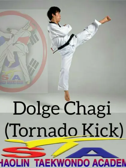 The Dolge Chagi, or Tornado Kick. An advanced spinning kick that combines speed, agility, and power, taught to my more experienced students.