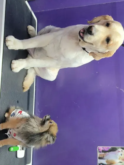 A playful angle of our big and small clients enjoying their time on the table.
