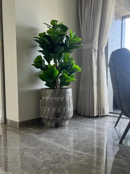 An artificial Fiddle Leaf Fig in a rustic, textured planter adds a touch of green to this elegant living room. It's the perfect way to get the look of this popular plant without any of the fuss.