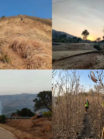 The diverse and challenging terrain of the SRT ultra. From dry, grassy slopes to dense, thorny bushes, this run tests every aspect of a trail runner's skill.