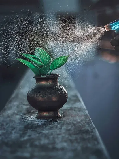 A fine mist of water is sprayed onto a small plant in a rustic pot, with the droplets catching the light beautifully. This shot highlights a simple act of care with artistic flair.