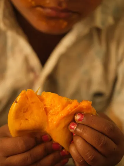 A close-up of a child's hands holding a juicy, ripe mango. This intimate shot focuses on the sensory experience and pure delight of eating a fresh mango.
