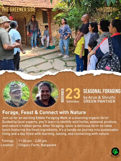 A poster for "The Greener Side," an Edible Foraging Walk and farm-to-table lunch I co-hosted at a stunning organic farm.