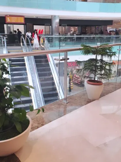 Another view of our plantscaping work in the mall, showing how different plant types are used in various locations to create a cohesive yet diverse green interior.