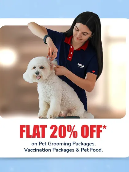 Announcing our Grooming Fest with a flat 20% off on grooming packages, vaccination packages, and pet food.
