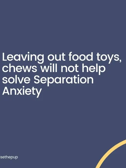 Leaving out food toys and chews will not solve separation anxiety. The underlying issue is a fear of being alone, and food is only a temporary distraction at best. A systematic desensitization plan is what's needed.