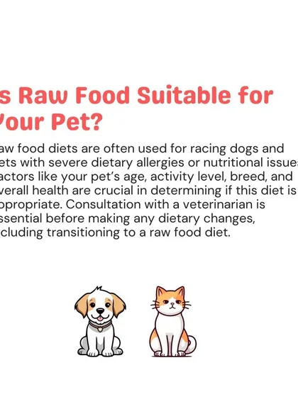 Is a raw food diet right for your pet? Factors like age, breed, and overall health are crucial. A consultation with a veterinarian is essential before making any major dietary changes.