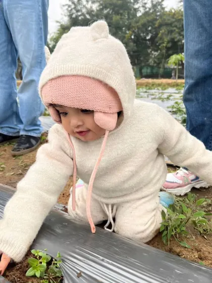 A toddler exploring the strawberry patch, getting a close-up look at how the fruit grows.