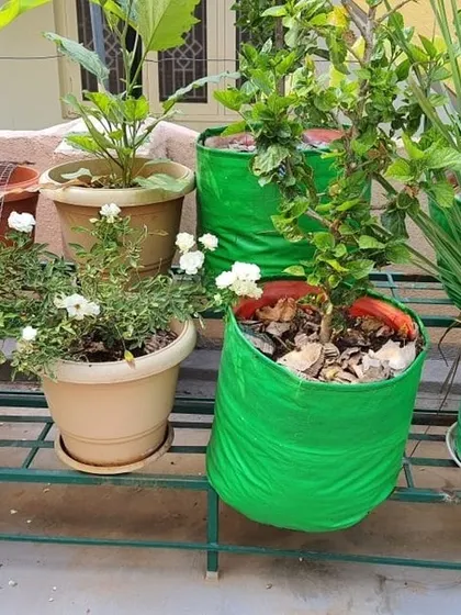 A mix of herbs and flowering plants on our two-tier stand. Using stands helps protect your terrace from water stains and allows for proper drainage.