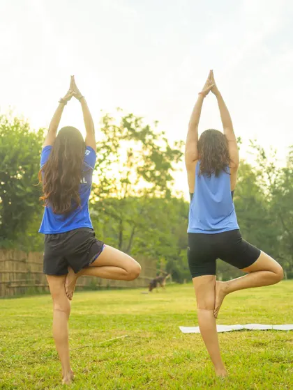 Two students practicing Vrksasana (Tree Pose) outdoors, their forms silhouetted against the morning sun. It's a beautiful image of balance and harmony with nature.