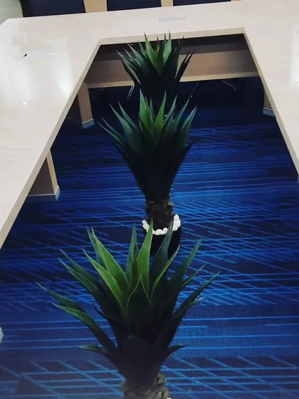 I placed these spiky artificial plants inside the U-shaped cutout of a large office table. This is a creative way to incorporate greenery directly into the furniture of a workspace.