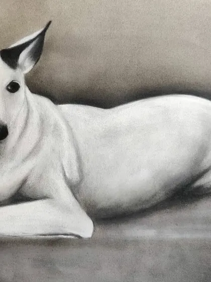 The alert ears and soulful eyes of this dog were so much fun to draw. My goal with every pet portrait is to capture the unique features and personality that make your pet one-of-a-kind.