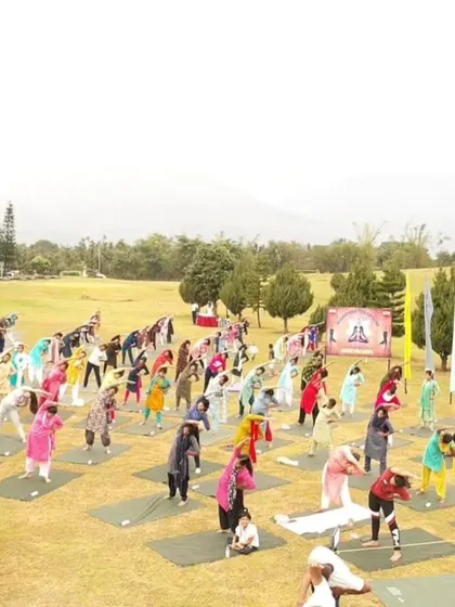 A wide view of our International Yoga Day event, with dozens of participants moving together in unison. There is a special energy when so many people practice with a shared intention.