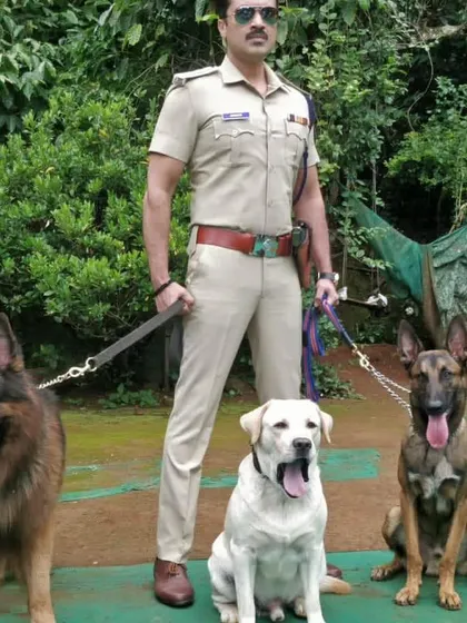Here are three of my trained stars on a film set. This photo features Leo the German Shepherd, a Labrador, and a Belgian Malinois posing with an actor in a police uniform, ready for their scene.