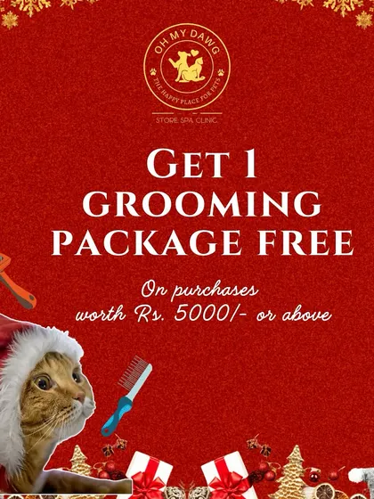 This Christmas, we're running a special offer. When you spend ₹5000 or more, you'll receive a free grooming package to get your pet looking their festive best.