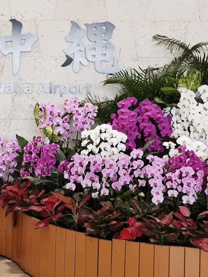 At Naha Airport in Okinawa, ready to begin another journey of learning and training. The vibrant culture of Okinawa is always a source of inspiration.