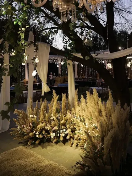 This photo captures the magical ambiance we created for an evening Sangeet. By hanging chandeliers and fairy lights from the trees and using warm uplighting on pampas grass arrangements, we transformed a garden into an enchanted forest setting.