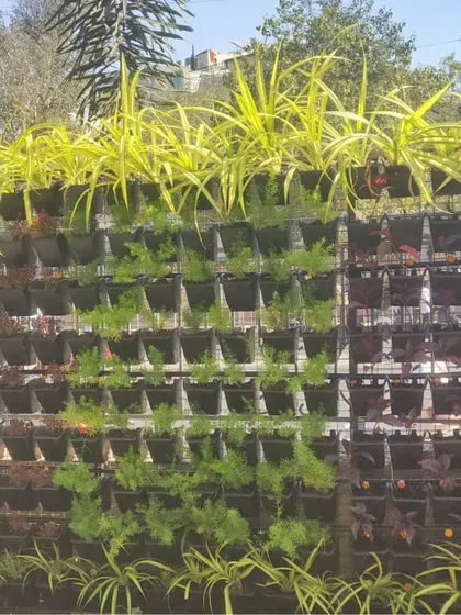 A close-up of the vertical garden panels, showing how different plant varieties are used to create distinct blocks of color and texture.