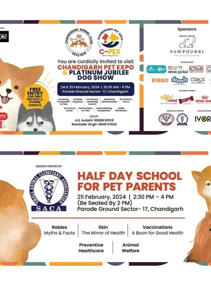 We partnered with the Chandigarh Pet Expo & Platinum Jubilee Dog Show, one of North India's biggest events. We also hosted a grooming summit to share professional techniques.