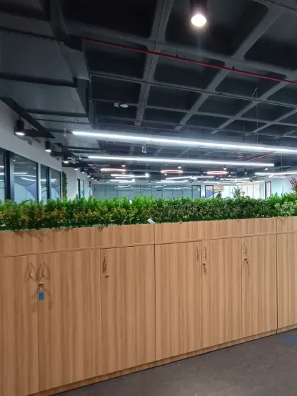 Another view of the office planters, showing how they act as a natural and attractive divider in an open-plan office environment.