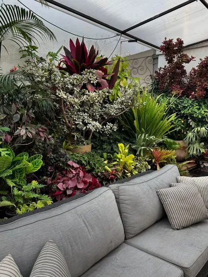 Even a small urban terrace can become a lush sanctuary. We use a rich diversity of potted plants to build a green retreat that envelops you, providing a sense of privacy and a connection to nature in the city.