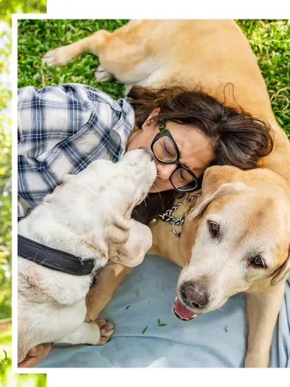 A collage from Bruno's 10th birthday shoot, showing him getting all the love and kisses from his family.