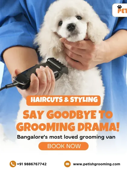 Haircuts and styling are my specialty. I can give your poodle a classic cut or any style you prefer, all without the drama of a salon visit.