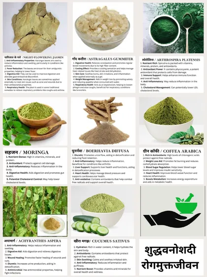 My herbal library is extensive, featuring everything from Moringa for its nutrient density to Boerhavia Diffusa for detoxification. I believe in using nature's pharmacy to help your body heal and find balance naturally.