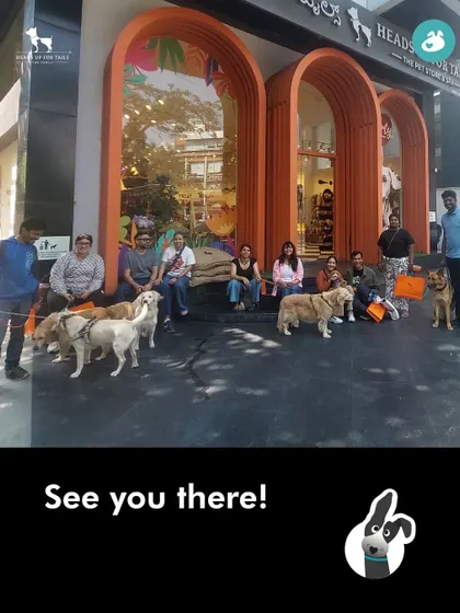 See you there! A group photo from our Doggie Olympics event, a day of fun challenges and games in partnership with Heads Up For Tails.