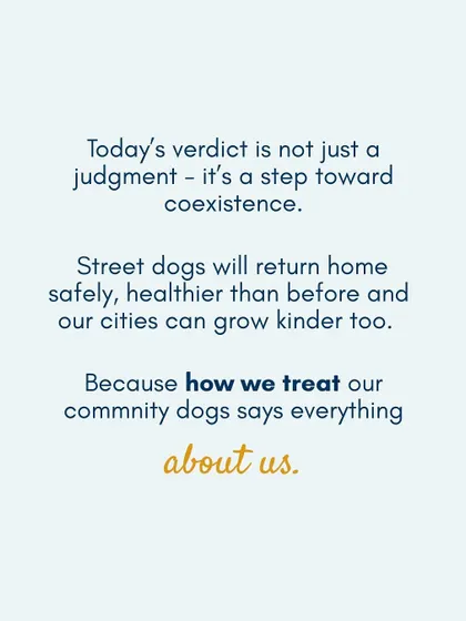 The verdict is more than a judgment; it is a step toward coexistence. How we treat our community dogs reflects our compassion as a society.