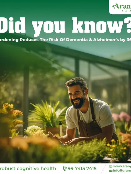 Did you know that gardening can reduce the risk of Dementia and Alzheimer's by 36%? I provide an environment where you can engage in this activity for robust cognitive health.