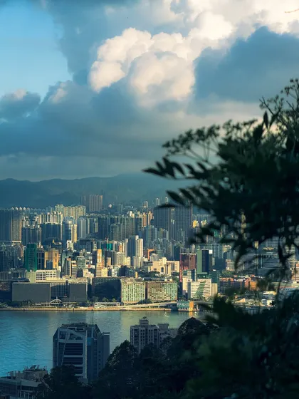 A view of the city and harbor framed by foliage. Using natural frames like this adds depth and a sense of place to landscape photos.