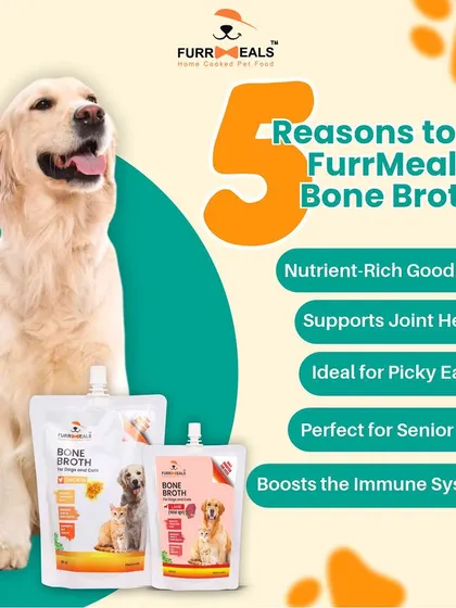 These images are part of series showing happy dogs and the bone broth product, reinforcing its benefits and appeal.