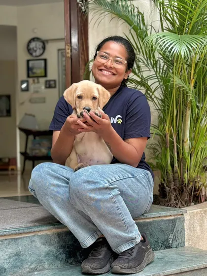 A beautiful Labrador puppy feeling safe and sound. My in-home service is perfect for young pups who are still getting used to the world and benefit from staying in a familiar environment.