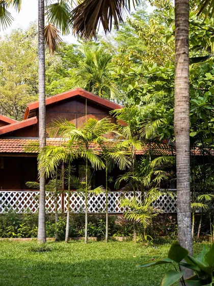 Our cottages are nestled within nature, offering a peaceful retreat under a canopy of trees.