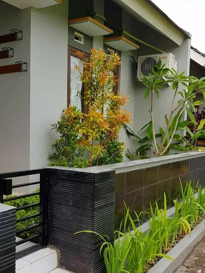 A simple yet elegant entrance planting. We use a combination of upright shrubs and low-growing ground cover to create a welcoming and well-defined entryway that enhances the home's curb appeal.