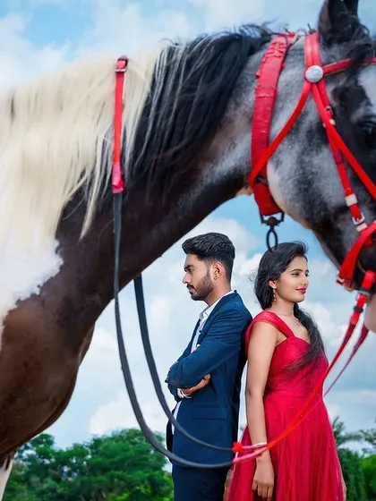 A stylish pre-wedding portrait with the couple standing back-to-back with a majestic horse, creating a powerful and unique image.