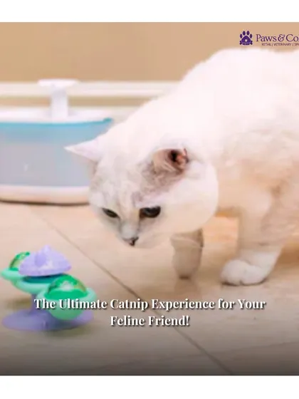 A cat curiously approaches the Whirly Bird Spinner toy, showcasing it as the ultimate catnip experience. The toy is designed for mental stimulation and active play.