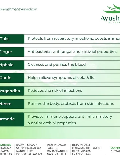 This chart lists some of the most powerful herbs in Ayurveda and their benefits. From Tulsi for respiratory health to Ashwagandha for reducing infection risk, this is a quick guide to nature's pharmacy.