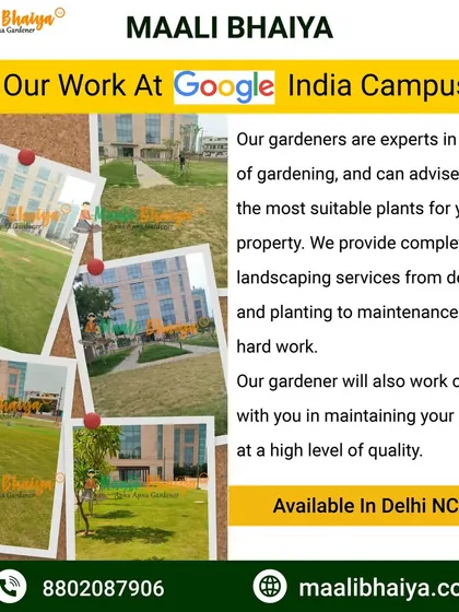 I am proud to have designed and maintained the landscapes at the Google India Campus. This project involved large scale lawn management and planting designs that suit a professional corporate environment, proving that no project is too big for my team.
