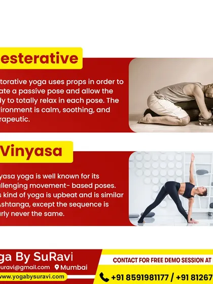 We teach different yoga styles to suit your needs, from gentle Restorative yoga with props to challenging, movement-based Vinyasa flows.