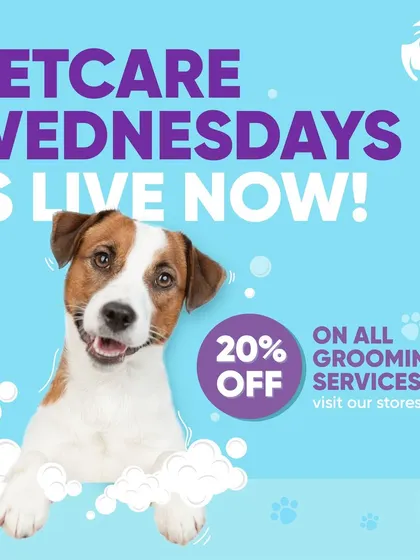 Our special Wednesday offer is now live! This is your chance to get a professional grooming service for your dog or cat at a discounted price. Let us pamper your pet.