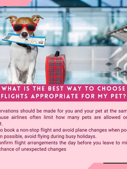 Choosing the right flight is key to a smooth journey. We recommend booking non-stop flights, avoiding holidays, and reconfirming arrangements to minimize stress and potential changes.