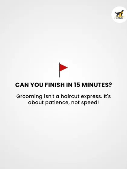 Grooming isn't a race. It's about patience, trust, and safety, not speed. Rushing the process can be stressful for your pet.