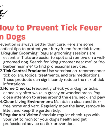 Prevention is always better than cure. Regular grooming, tick control products, and home checks are practical steps you can take to protect your dog from tick fever. I can guide you on the best approach.