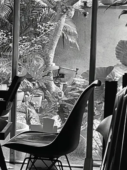 A detail of the iconic chairs in our studio, set against the backdrop of the lush garden outside. We believe in surrounding ourselves with good design and nature to fuel our own creativity.